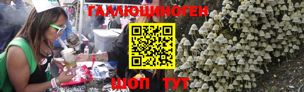 Шахты  Псилоцибиновые грибы мухоморы  Вход с VPN 