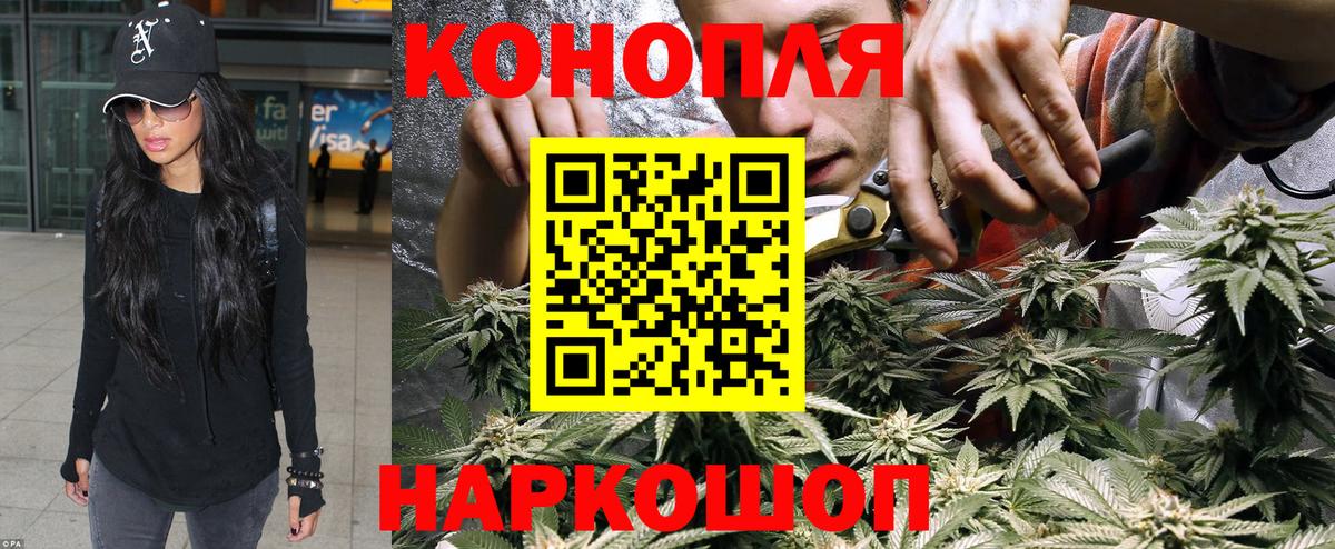 Шишки марихуана планчик Шахты